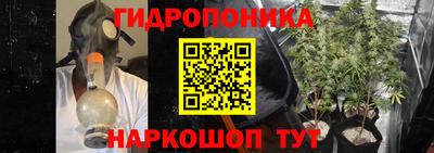гидропоника Ипатово