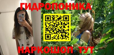 гидропоника Ипатово