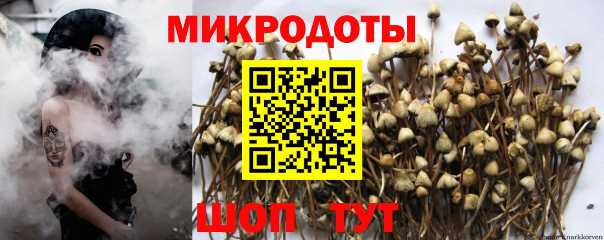 Псилоцибиновые грибы MAGIC MUSHROOMS Корсаков